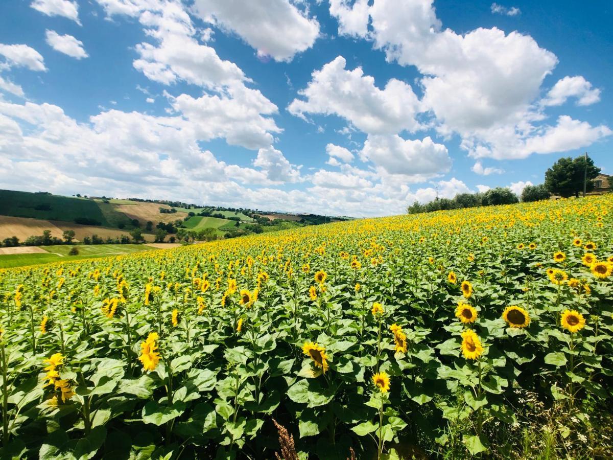 Ritorno Alla Natura Recanati Ngoại thất bức ảnh